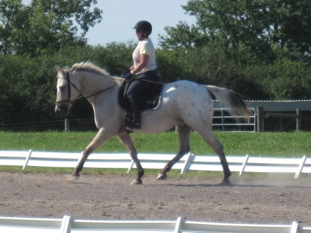 Schooling dressage show, summer 2009