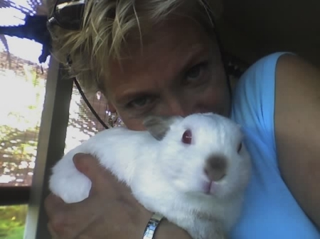 my bunny rabbit