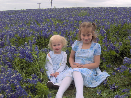 Texas Blue Bonnets