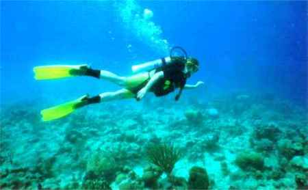 Diving in St Croix