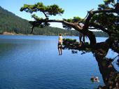 Conor jumping off a tree at Cascade Lake, WA