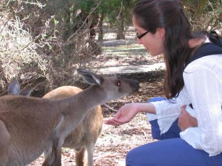 Meeting a wallabee in Oz