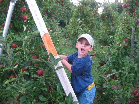 1st time apple-picking