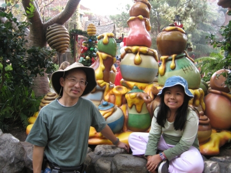 Disneyland 2008