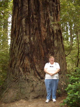 Gaye at Redwoods National Park