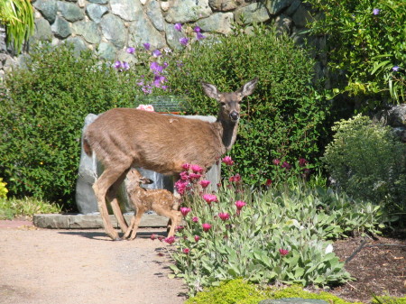 Nature at work