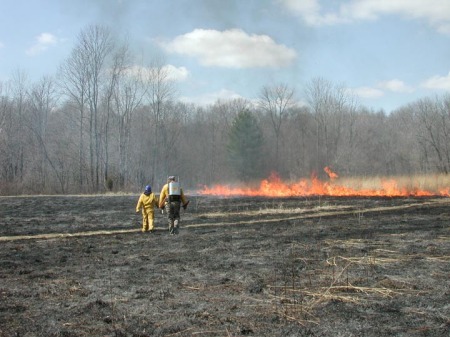 Prairie Burn