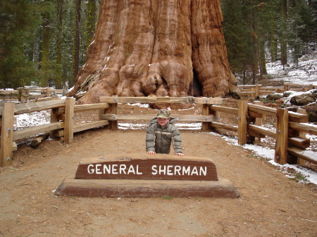 My son Aidan in Sequoia National Park