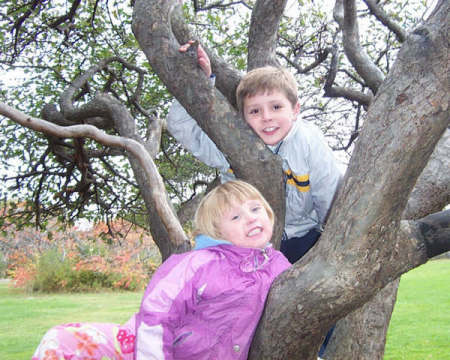 Kids in a Tree