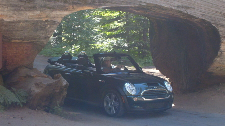 My car and I in Sequoia National Park