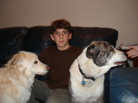 Ryan and the dogs