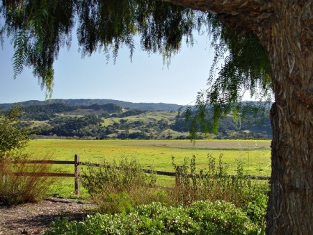 Wine country - Santa Ynez Valley, CA