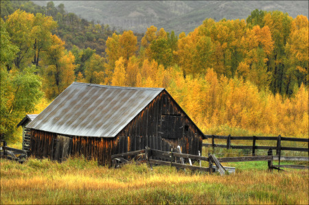 Elk River Barn