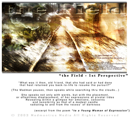 The Field - 1st Perspective