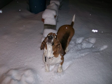 playing in the snow