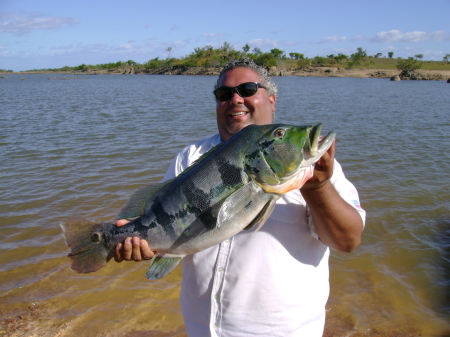 Bass Fishing in guri lake ,venezuela