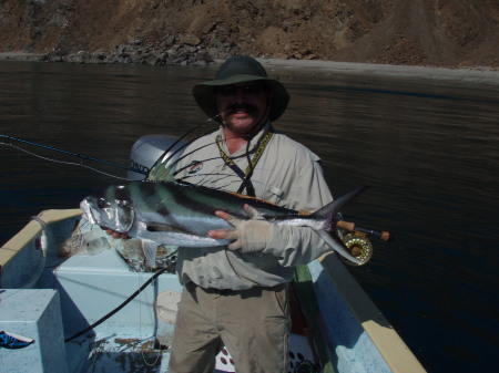 Roosterfish-Baja 2010