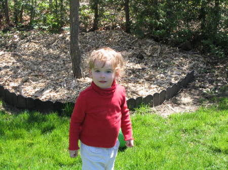 In the back yard, April 30, 2007