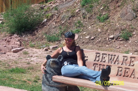 Sturgis 2006