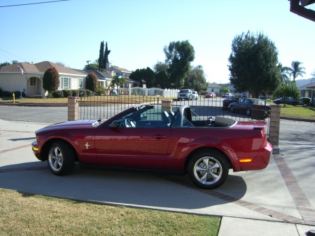 Lorrie's mustang