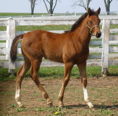 Lefty at twelve weeks