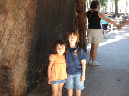 My Niece and Todd Jr.-Giant Sequoias '08