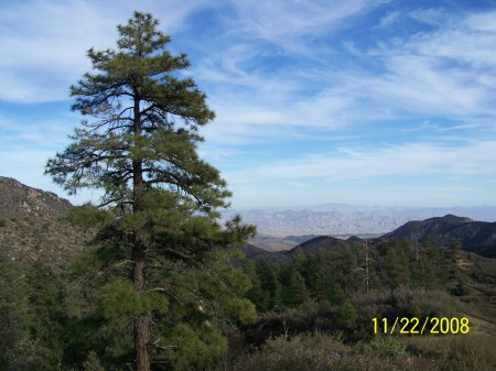 Hualapai Mountains