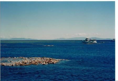 Darlene Stedman's album, The Great Barrier Reef