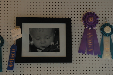 Best of Show photography Morrow Co Fair 08