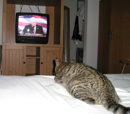 Kitty's a Republican