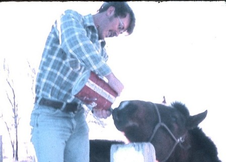 Tim Webb tending his horses
