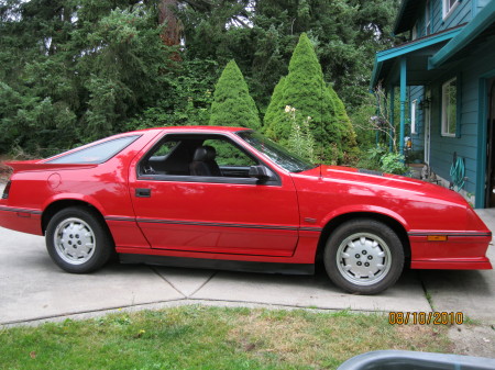 86 Daytona/Shelby pkg, for sale if I can get the right price, pass the word!!