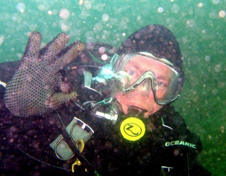 DIVING AT REDONDO