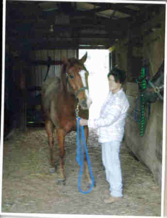 At the Barn