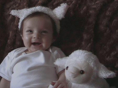 little Easeter bunny and her lamb