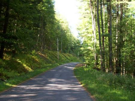 Road leading into the mtn.area of camp