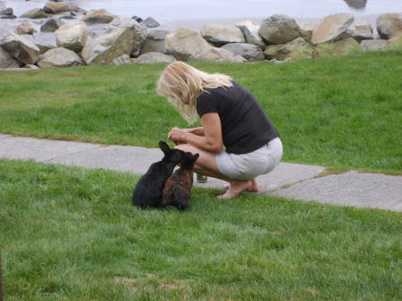 Feeding the resident bunnies