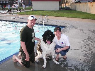 At the Dog Swim