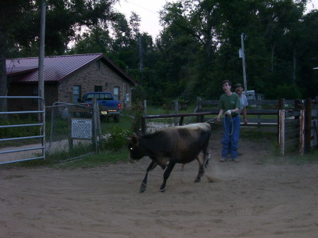 Roping Buddies