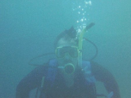 Diving at Vortex Springs Florida