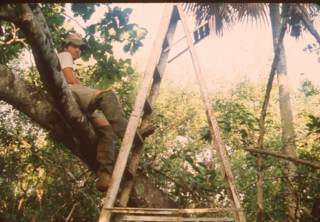 Working in Venezuela