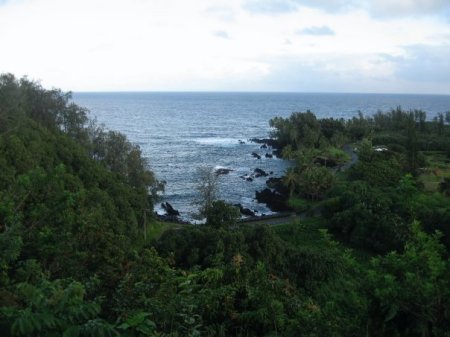 Off the side of road to Hana