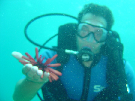 Scuba Diving in Maui on Honeymoon