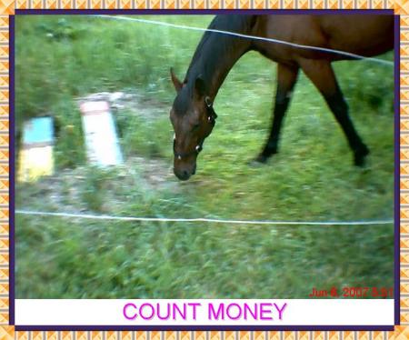 Count Money