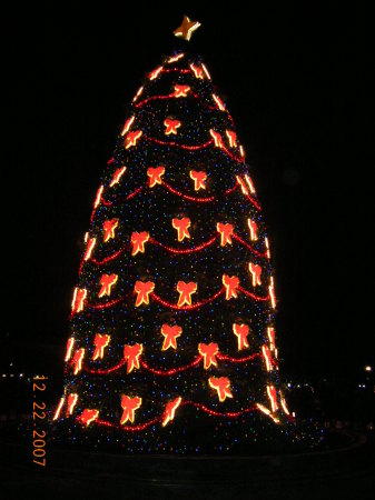 National Christmas tree