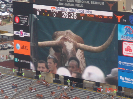 Bevo