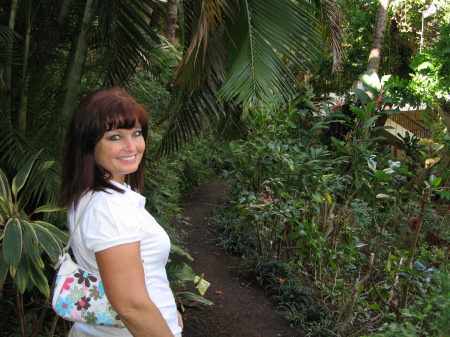 Hawaii 2006