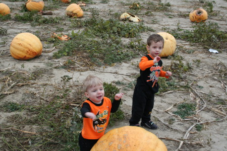 Pumpkin patch