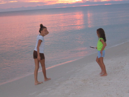 the beach at sunset