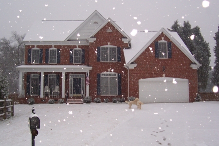 Rare Snow in Charlotte- Sure Sign of Global Warming